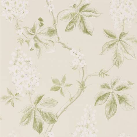 Sanderson Woodland Walk Wallpapers Chestnut Tree Wallpaper - Lemon/Lettuce - DWOW215707