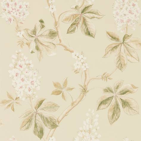 Sanderson Woodland Walk Wallpapers Chestnut Tree Wallpaper - Coral/Bayleaf - DWOW215709