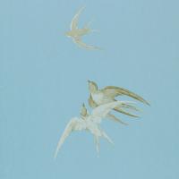 Swallows Wallpaper - Wedgewood
