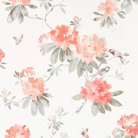 Sanderson Waterperry Wallpapers Rhodera Wallpaper - Coral/Grey - DWAP216264