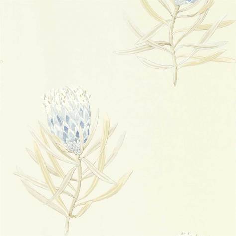 Sanderson Art of the Garden Wallpapers Protea Flower Wallpaper - China Blue/Canvas - DART216327
