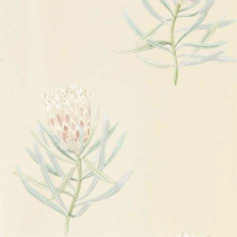 Sanderson Art of the Garden Wallpapers Protea Flower Wallpaper - Russet/Green - DART216329