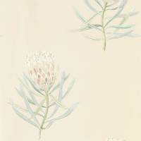 Protea Flower Wallpaper - Russet/Green