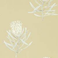 Protea Flower Wallpaper - Sepia/Champagne
