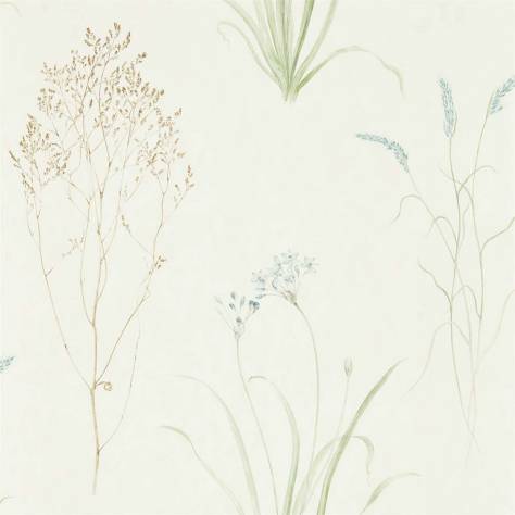Sanderson Embleton Bay Wallpapers Farne Grasses Wallpaper - Cream/Sage - DEBB216486