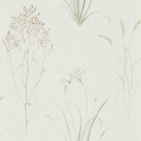 Sanderson Embleton Bay Wallpapers Farne Grasses Wallpaper - Willow/Pebble - DEBB216488