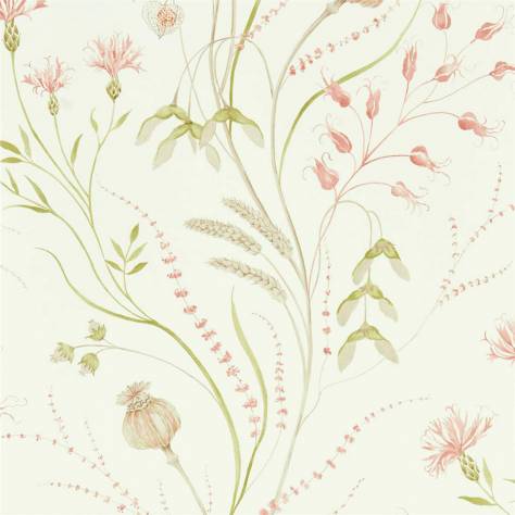 Sanderson Embleton Bay Wallpapers Summer Harvest Wallpaper - Claret/Olive - DEBB216495