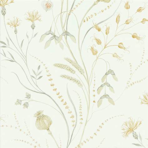Sanderson Embleton Bay Wallpapers Summer Harvest Wallpaper - Silver Corn - DEBB216497