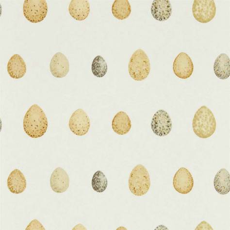 Sanderson Embleton Bay Wallpapers Nest Egg Wallpaper - Corn Graphite - DEBB216505