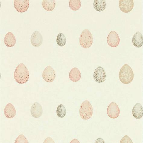 Sanderson Embleton Bay Wallpapers Nest Egg Wallpaper - Blush Pink - DEBB216506