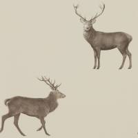 Evesham Deer Wallpaper - Birch