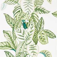 Calathea Wallpaper - Botanical Green
