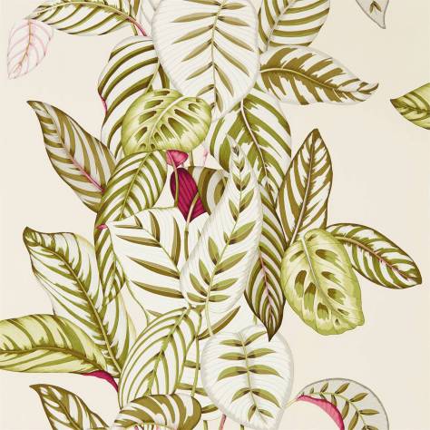 Sanderson Glasshouse Wallpapers Calathea Wallpaper - Olive - DGLW216631