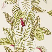 Calathea Wallpaper - Olive