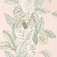 Calathea Wallpaper - Orchid / Eucalyptus