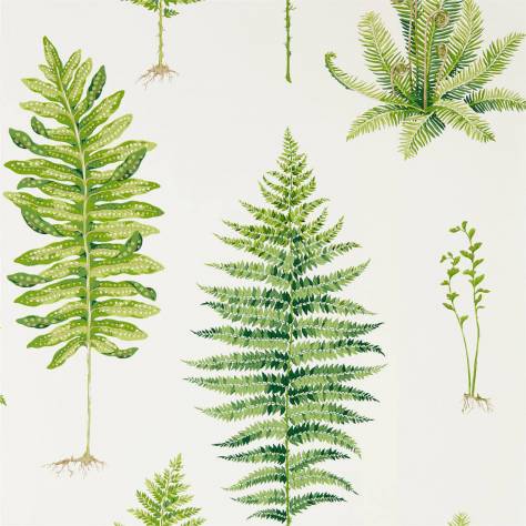 Sanderson Glasshouse Wallpapers Fernery Wallpaper - Botanical Green - DGLW216633