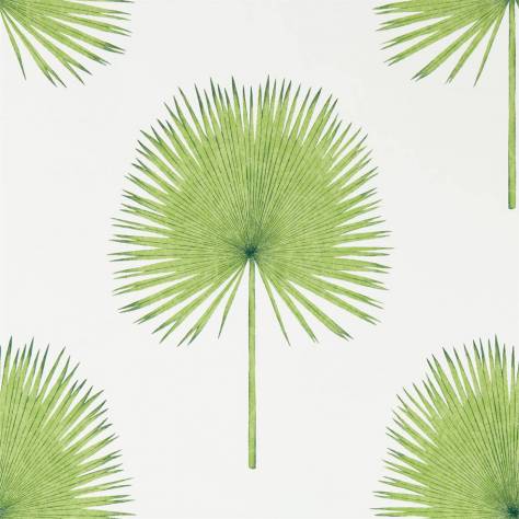 Sanderson Glasshouse Wallpapers Fan Palm Wallpaper - Botanical Green - DGLW216636