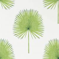 Fan Palm Wallpaper - Botanical Green