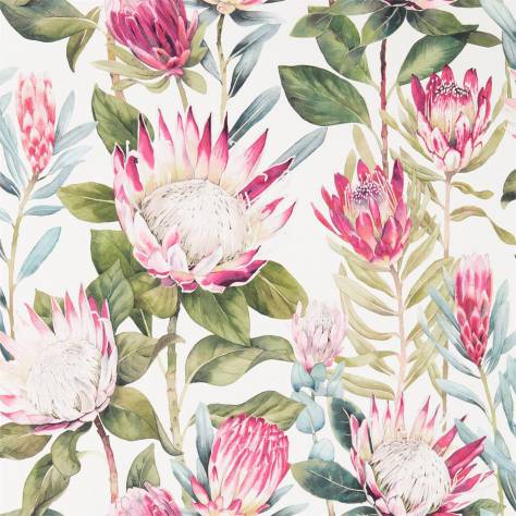 Sanderson Glasshouse Wallpapers King Protea Wallpaper - Rhodera / Cream - DGLW216646