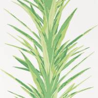 Yucca Wallpaper - Botanical Green