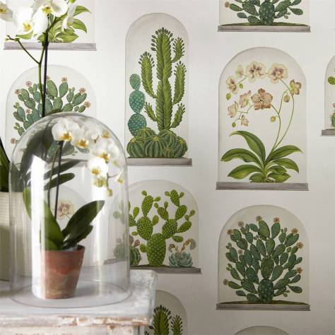 Sanderson Glasshouse Wallpapers Terrariums Wallpaper - Chalk / Green - DGLW216655