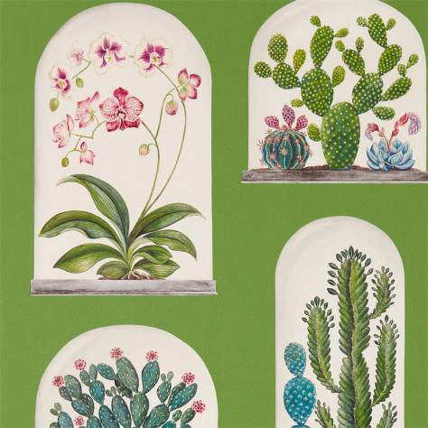 Sanderson Glasshouse Wallpapers Terrariums Wallpaper - Botanical Green / Multi - DGLW216656
