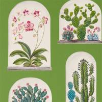 Terrariums Wallpaper - Botanical Green / Multi