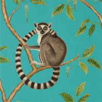 Ringtailed Lemur Wallpaper - Teal