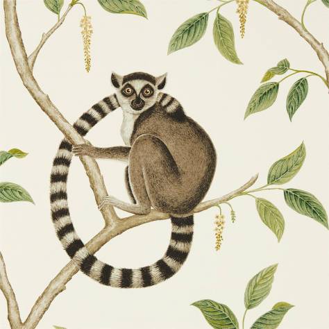 Sanderson Glasshouse Wallpapers Ringtailed Lemur Wallpaper - Cream / Olive - DGLW216664