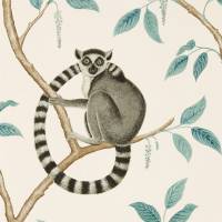 Ringtailed Lemur Wallpaper - Stone / Eucalyptus