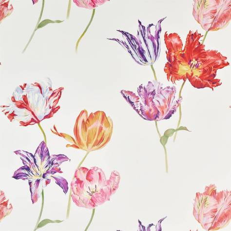 Sanderson Glasshouse Wallpapers Tulipomania Wallpaper - Botanical - DGLW216666
