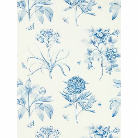 Sanderson One Sixty Wallpapers Etchings & Roses Wallpaper - China Blue - DOSW217052