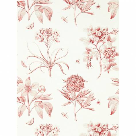 Sanderson One Sixty Wallpapers Etchings & Roses Wallpaper - Amanpuri Red - DOSW217054