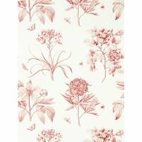 Etchings & Roses Wallpaper - Amanpuri Red