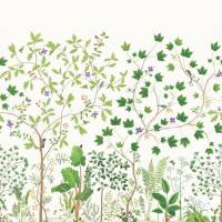 Sycamore and Oak Wallpaper - Botanical Green