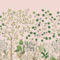 Sycamore and Oak Wallpaper - Wild Rose