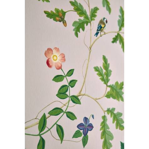 Sanderson Arboretum Wallpapers Rubus Wallpaper - Blackberry - DABW217227