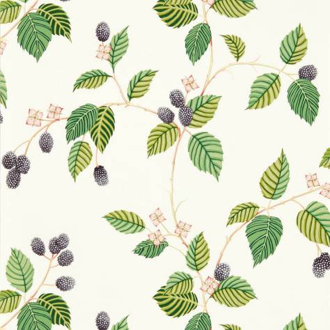 Sanderson Arboretum Wallpapers Rubus Wallpaper - Blackberry - DABW217227