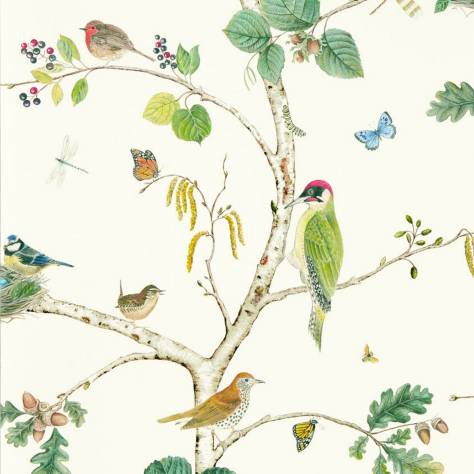 Sanderson Arboretum Wallpapers Woodland Chorus Wallpaper - Botanical/Multi - DABW217230