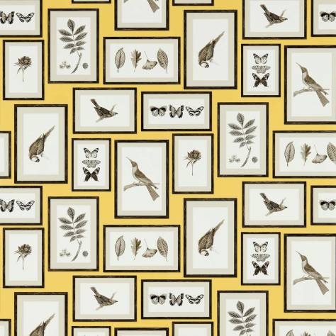Sanderson Voyage of Discovery Wallpapers Picture Gallery Wallpaper - Yellow/Charcoal - DVOY213396