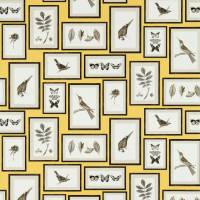 Picture Gallery Wallpaper - Yellow/Charcoal