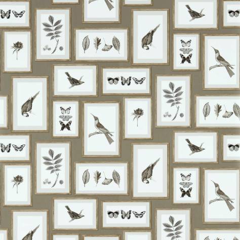 Sanderson Voyage of Discovery Wallpapers Picture Gallery Wallpaper - Taupe/Sepia - DVOY213397