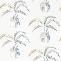 Crassula Wallpaper - Putty / Slate