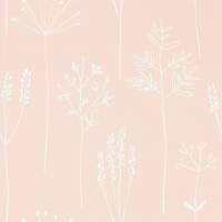 Stipa Wallpaper - Blush