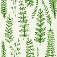 Ferns Wallpaper - Juniper