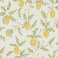 Lemon Tree Wallpaper - Bay Leaf