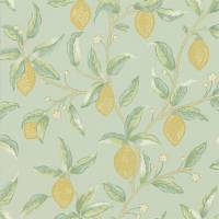 Lemon Tree Wallpaper - Sage