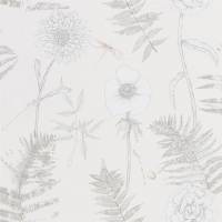 Acanthus Wallpaper - Ivory