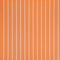 Sundae Stripe Wallpaper - Zinnia