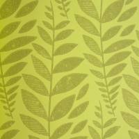 Odhni Wallpaper - Moss